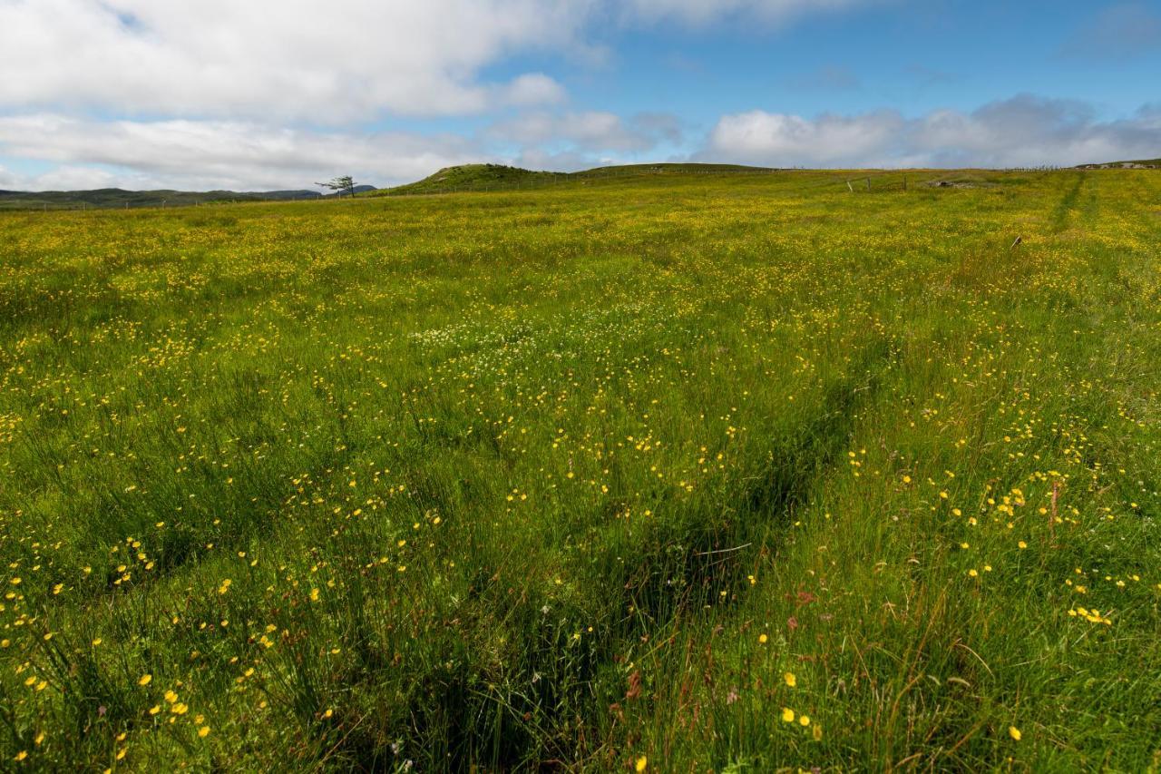 21 Callanish Luxury Pod Eksteriør bilde