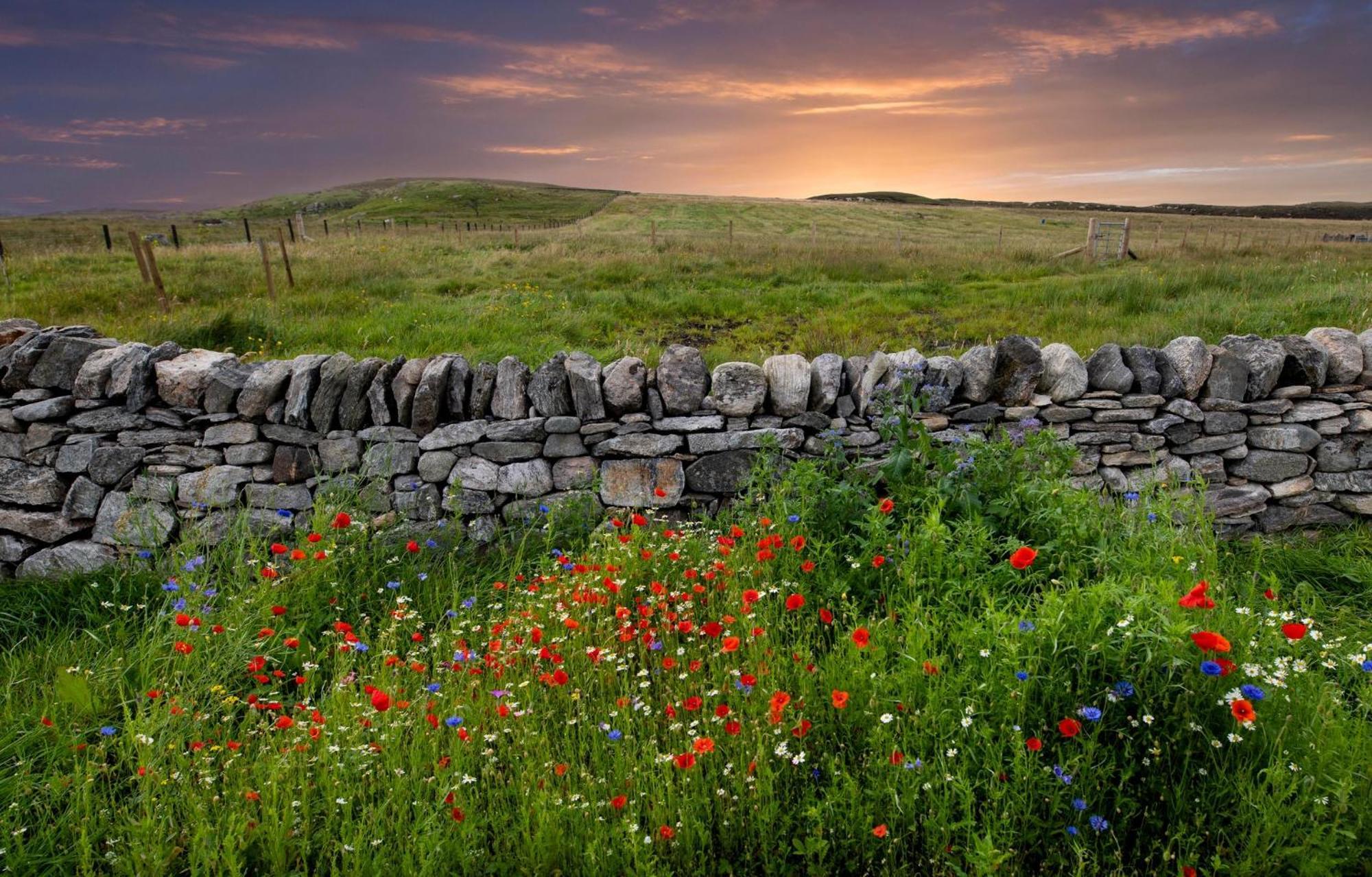 21 Callanish Luxury Pod Eksteriør bilde